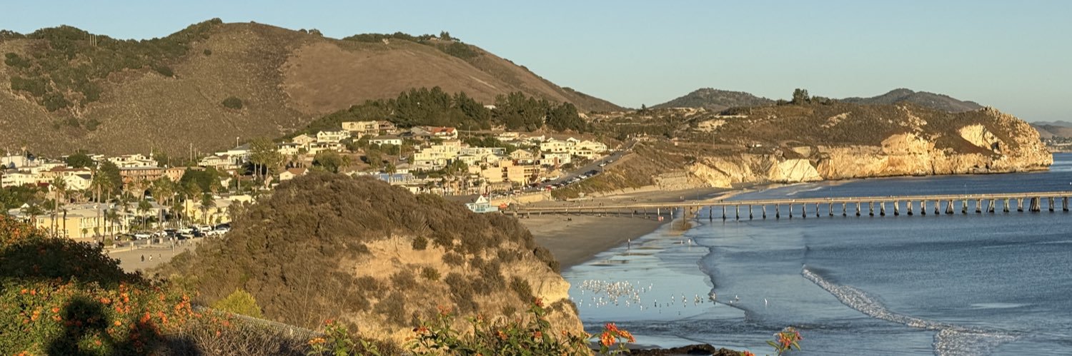 Colin Sebastian (Wall St Internet Analyst) banner