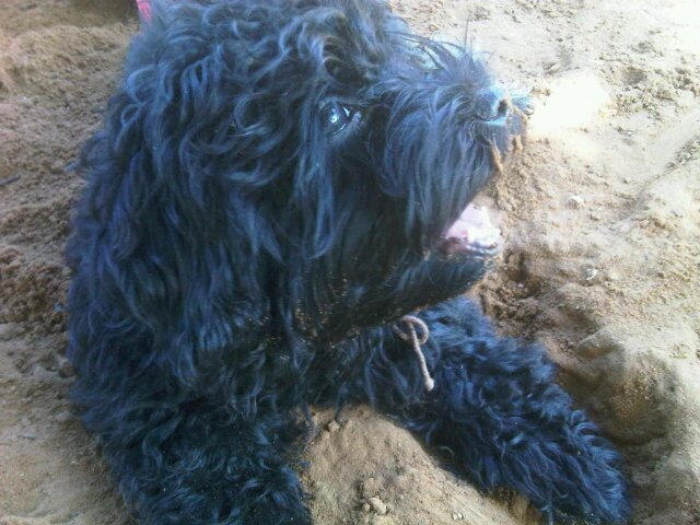 Nanyd1's profile banner image