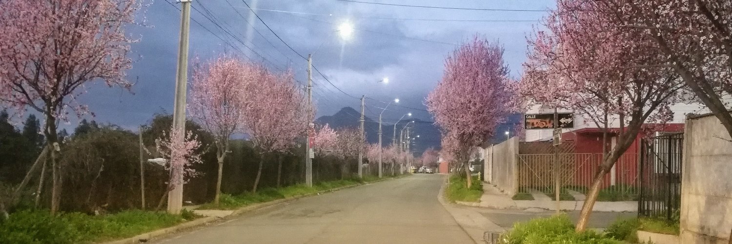 ROD_INO's profile banner image