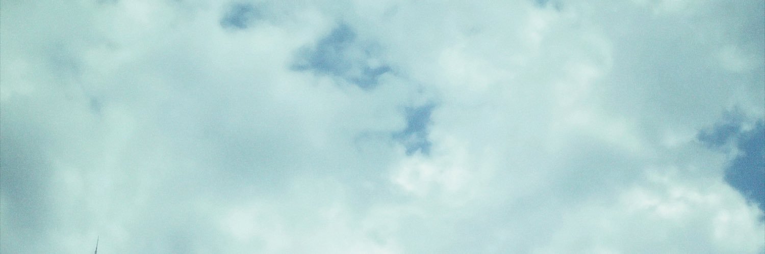 tirrrrr___'s profile banner image