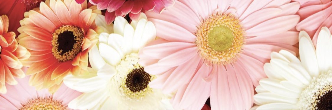 Krisstyn_'s profile banner image