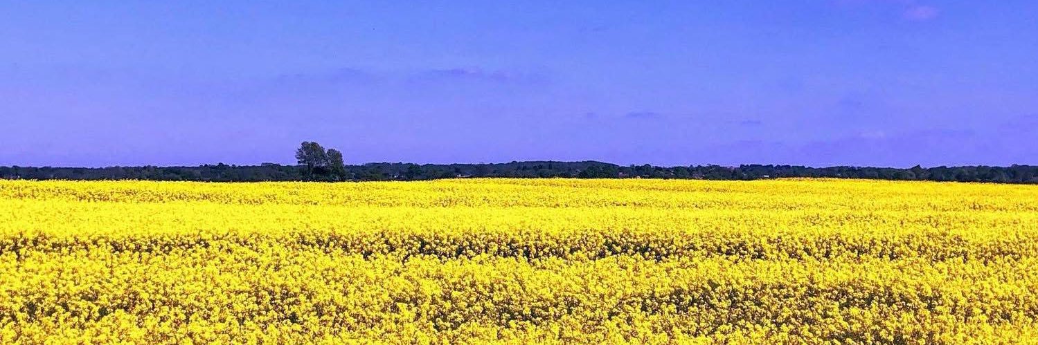 Wendy Riker Purnell banner