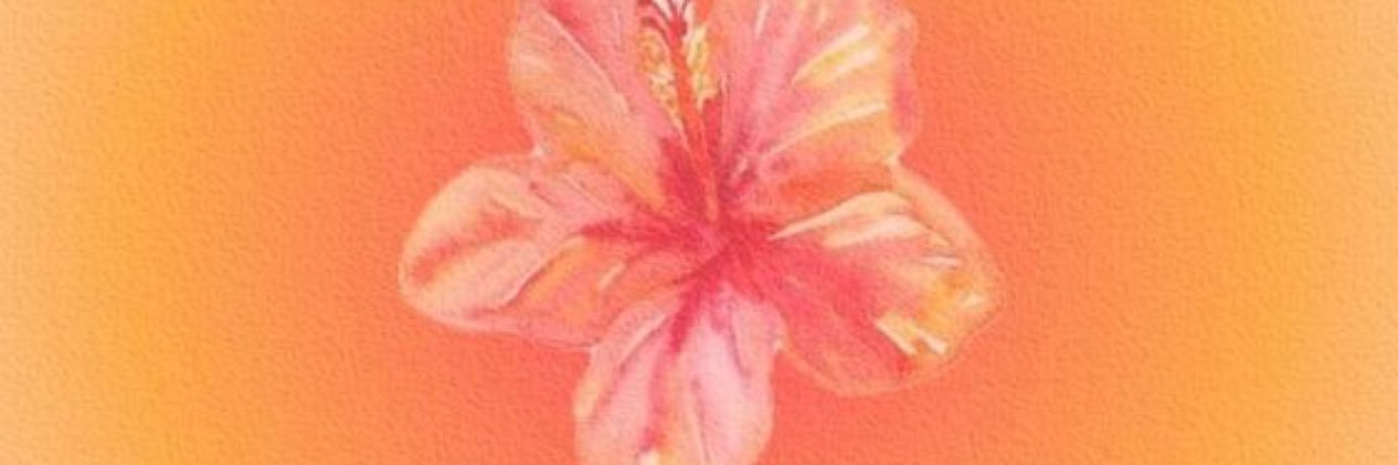 _alezandraaaa's profile banner image