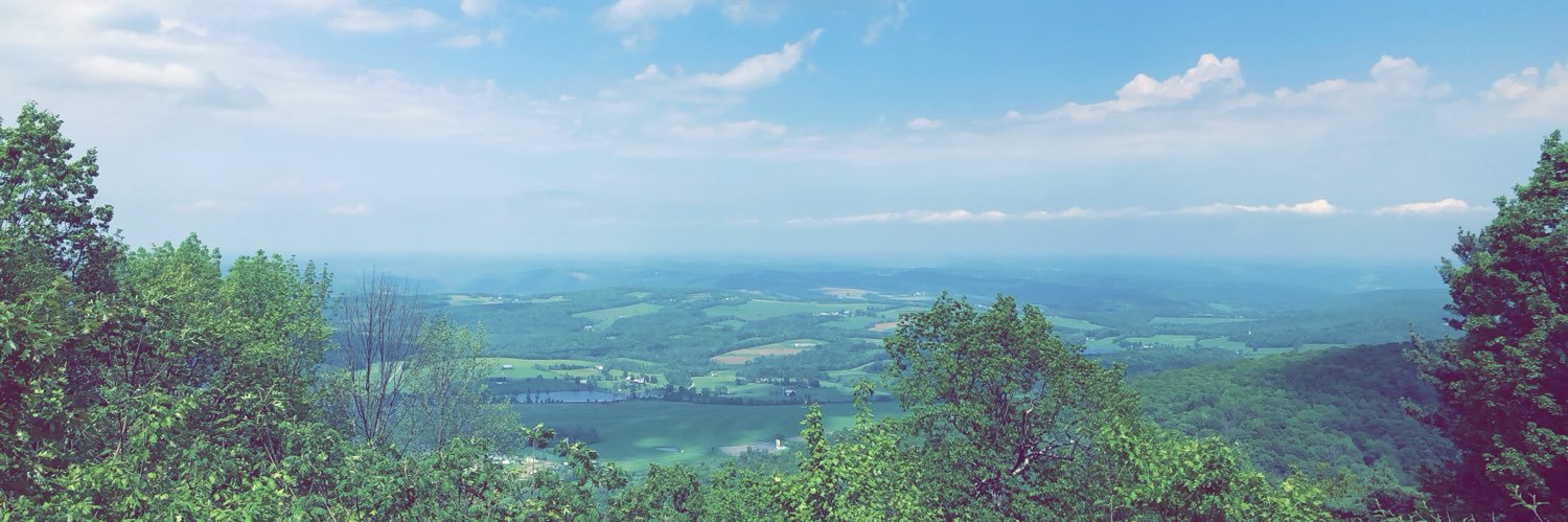 elisembarber's profile banner image