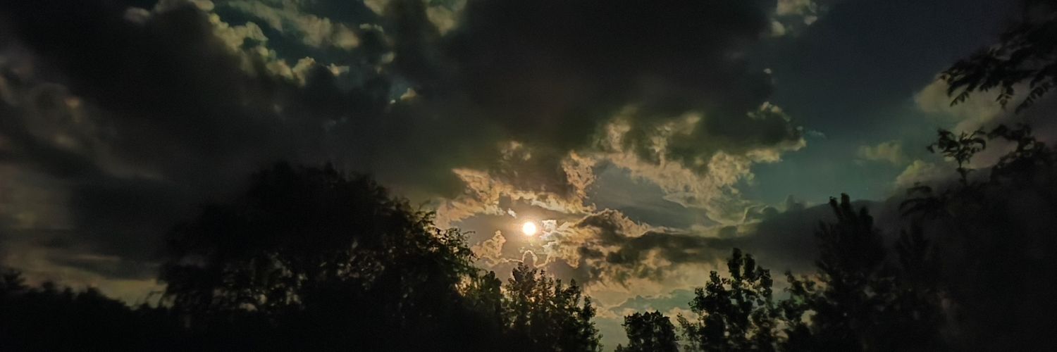 LeftyLindeey's profile banner image
