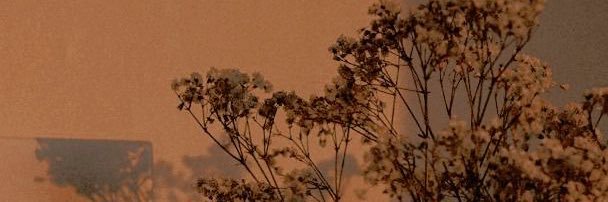 Maxi_Neuer's profile banner image