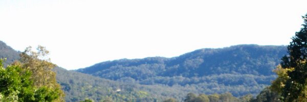 Xcapee Profile Banner