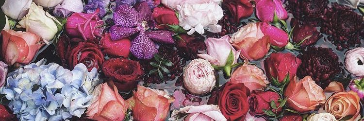 AshyaB__'s profile banner image