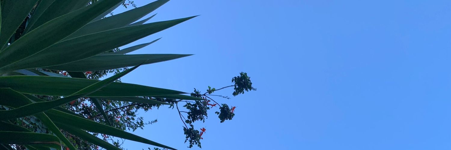 CIOE_BU's profile banner image