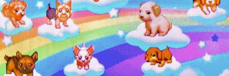 cupidhna's profile banner image
