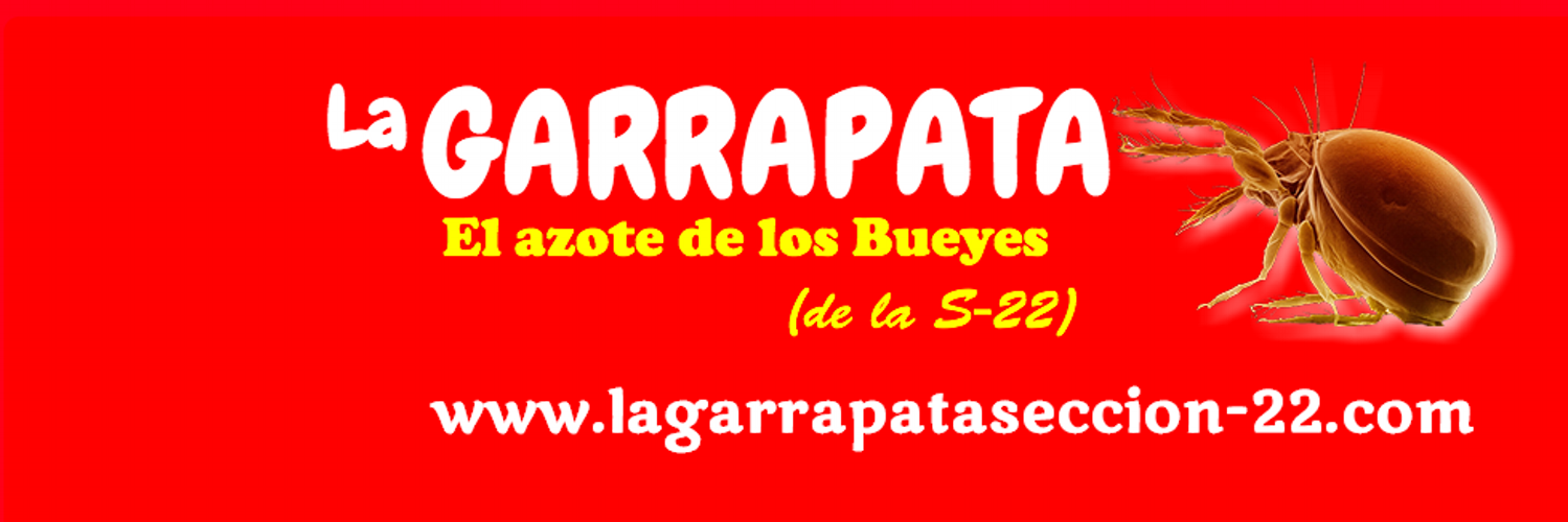 garrapataS22's profile banner image