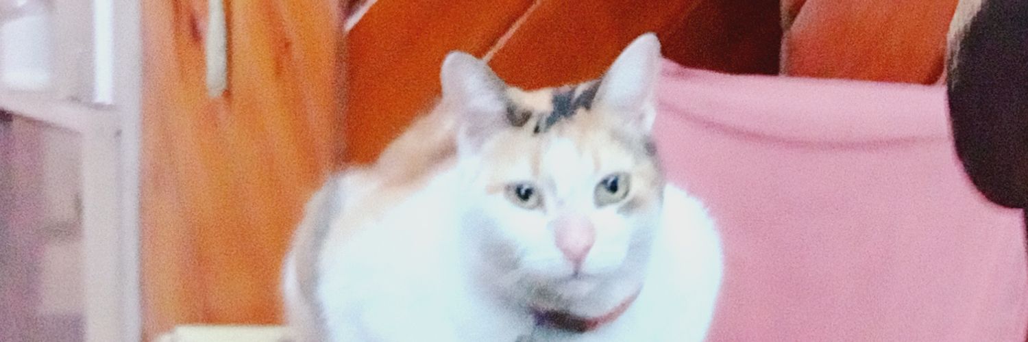 Jin de yarikawa banner