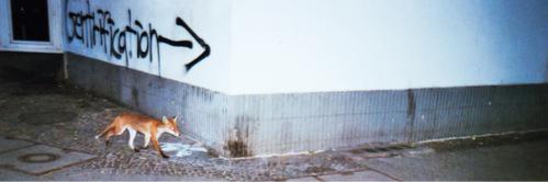 bragogdr's profile banner image