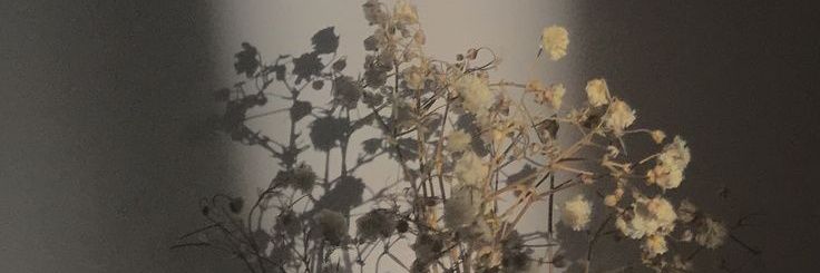 Yohanaputrii's profile banner image