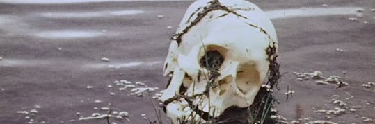 brucebanshee's profile banner image