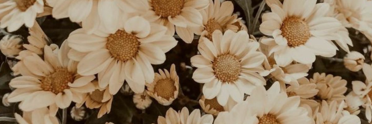 bellexx__'s profile banner image