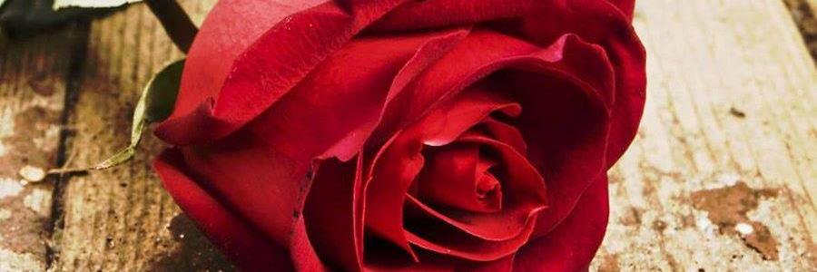 Adrianomarcos74's profile banner image