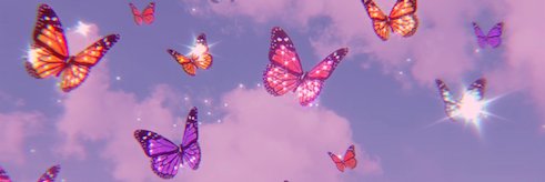 hafsaimran979's profile banner image