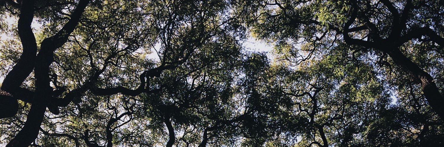 gglieta's profile banner image