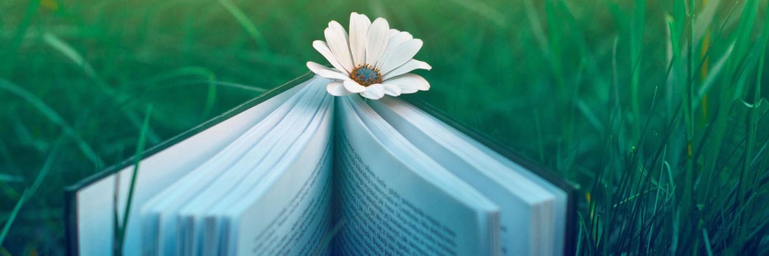 header image