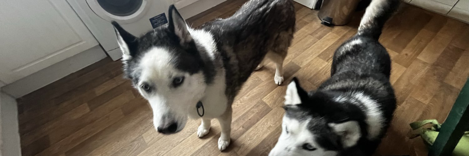 May Harper (she/her) 🏴󠁧󠁢󠁷󠁬󠁳󠁿 banner