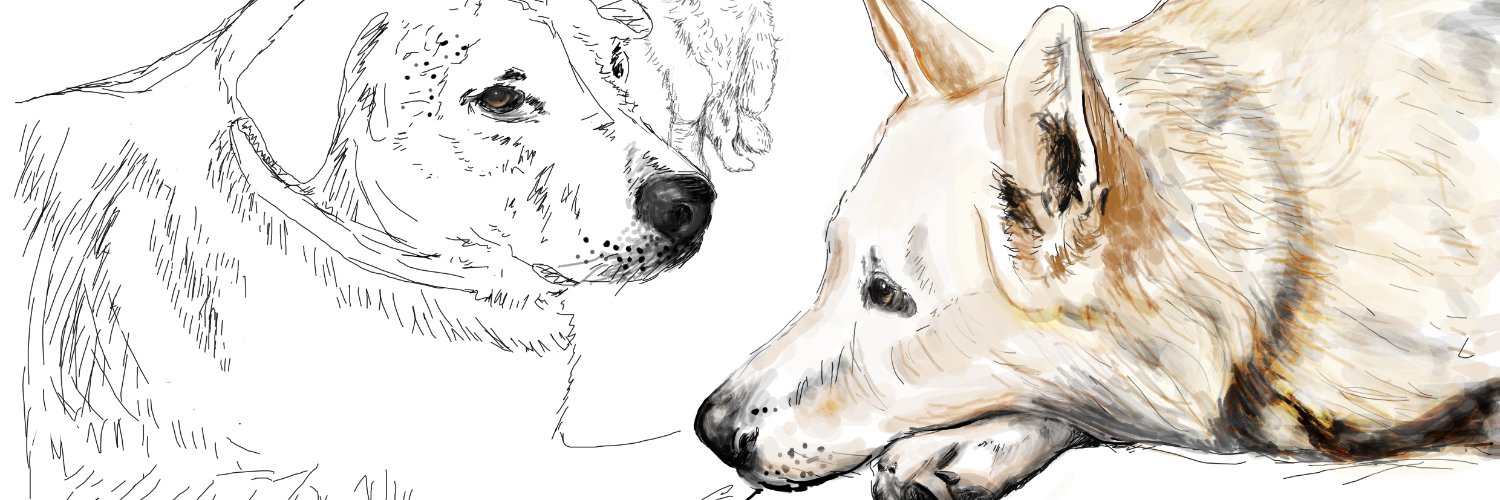 BaSNFT88's profile banner image