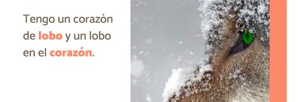 de_observer Profile Banner