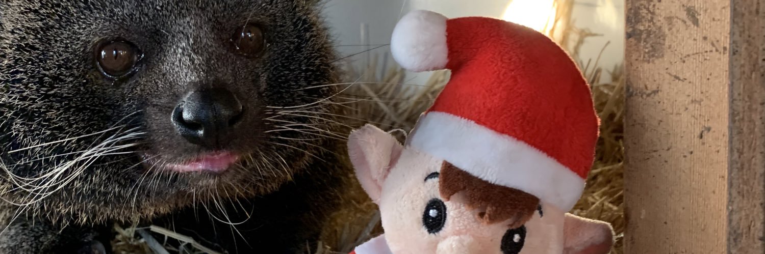 lewaddz's profile banner image