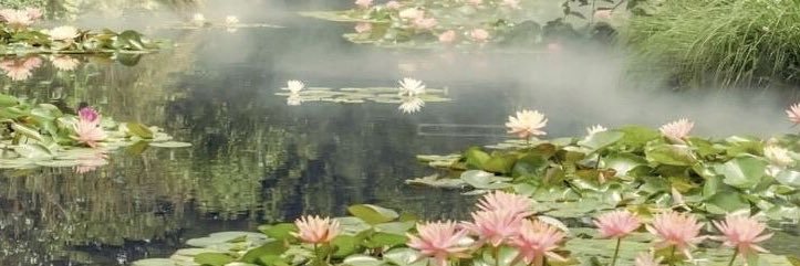 GeaMeryna's profile banner image