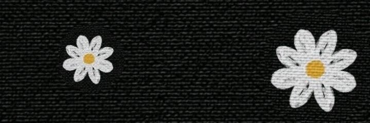 I__lau's profile banner image