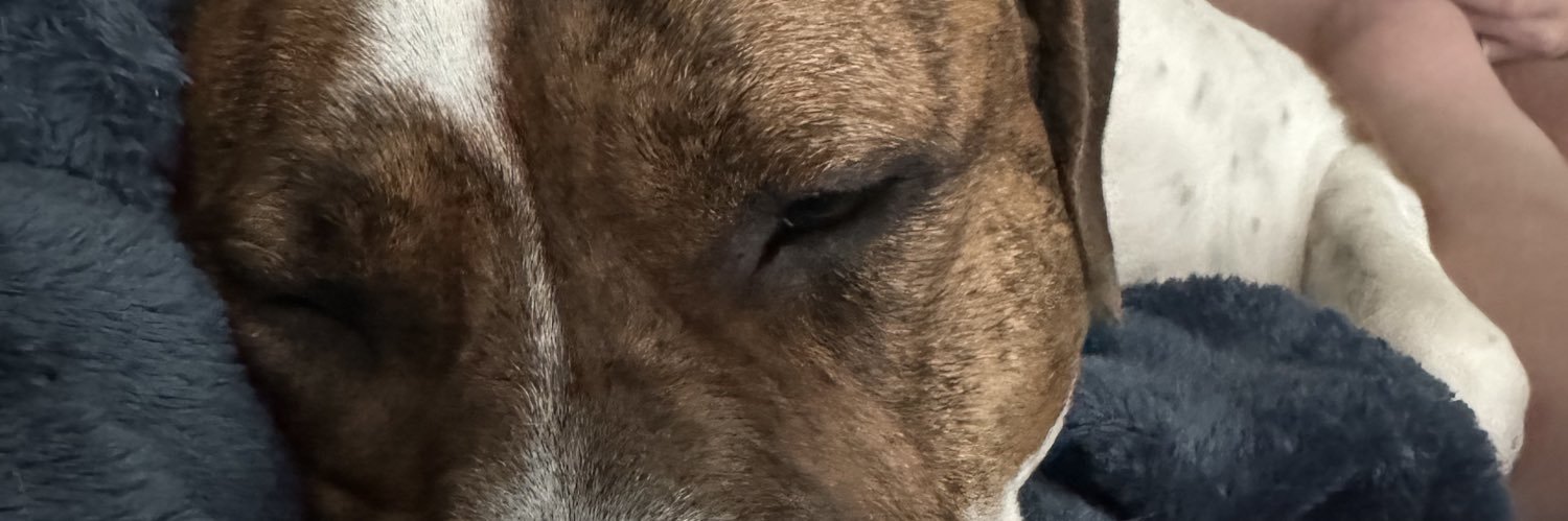 THamMF_'s profile banner image