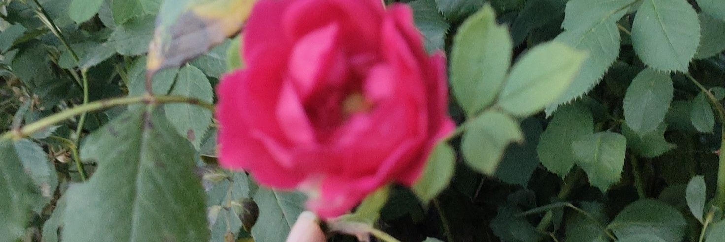loumi1992's profile banner image