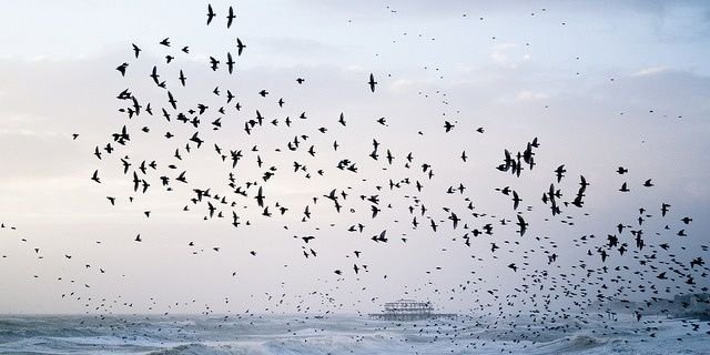 melinakprx3's profile banner image