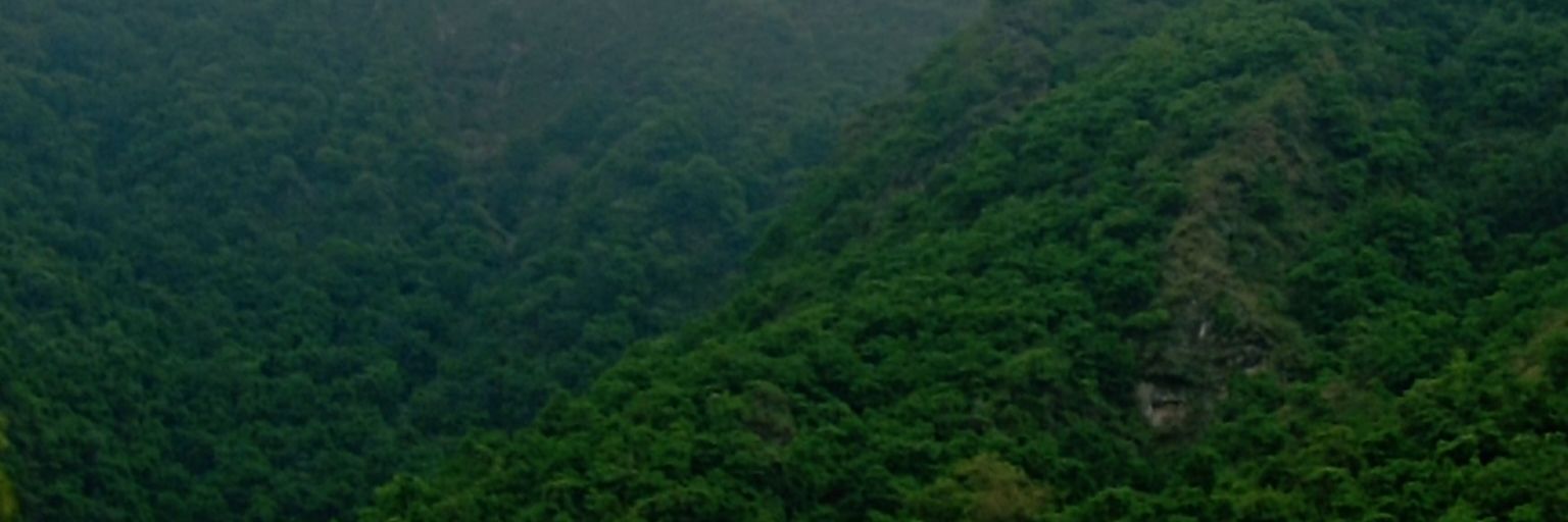 dinki_edu's profile banner image