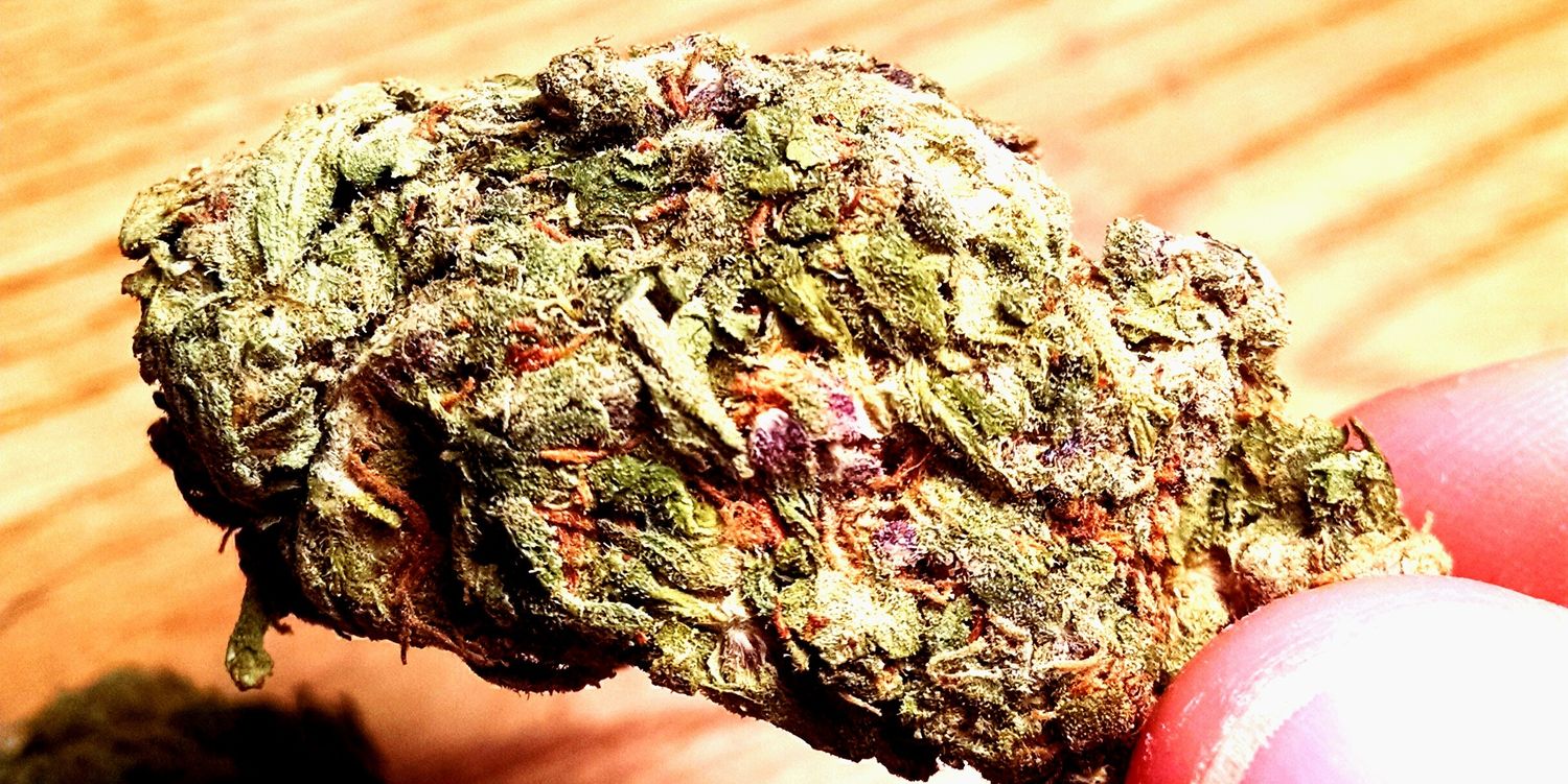 weedman_weekly's profile banner image