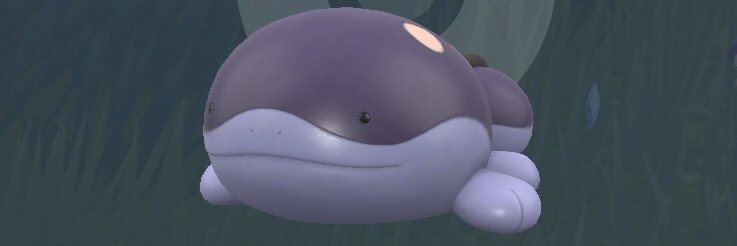 ドオホゴマン banner