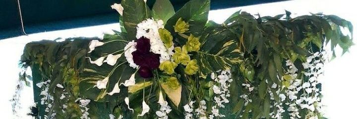 Velvetlibra's profile banner image