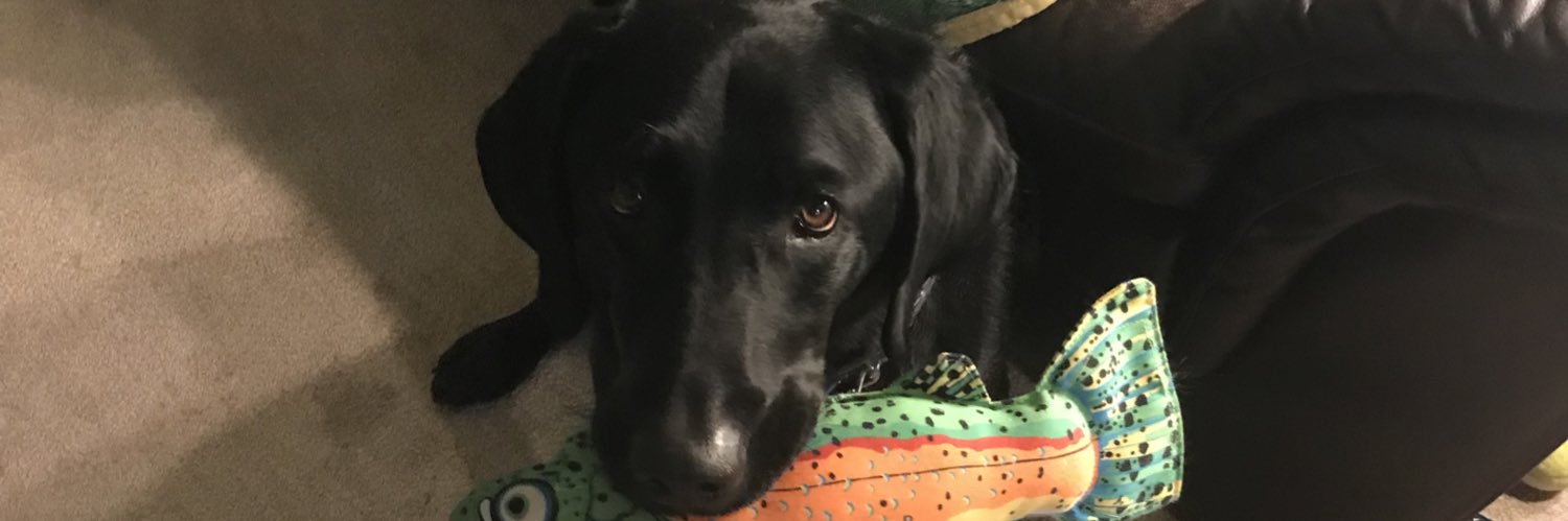 billwish's profile banner image