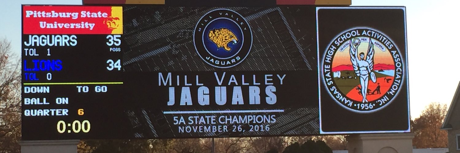 Mike Strack banner