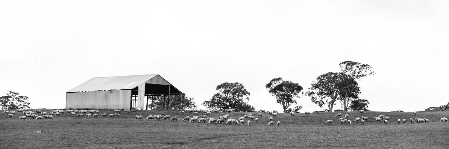 AliveWellNSW's profile banner image
