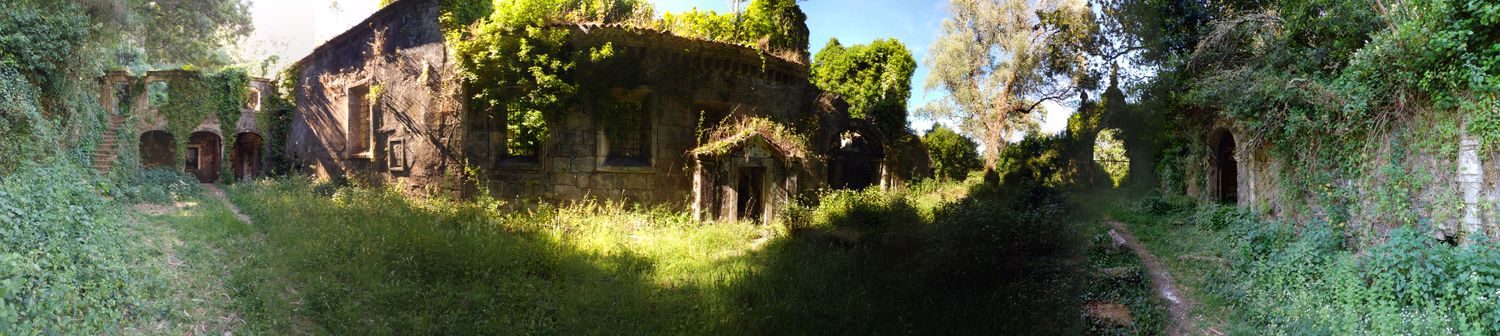 Orlando Batista | orxababa.eth banner