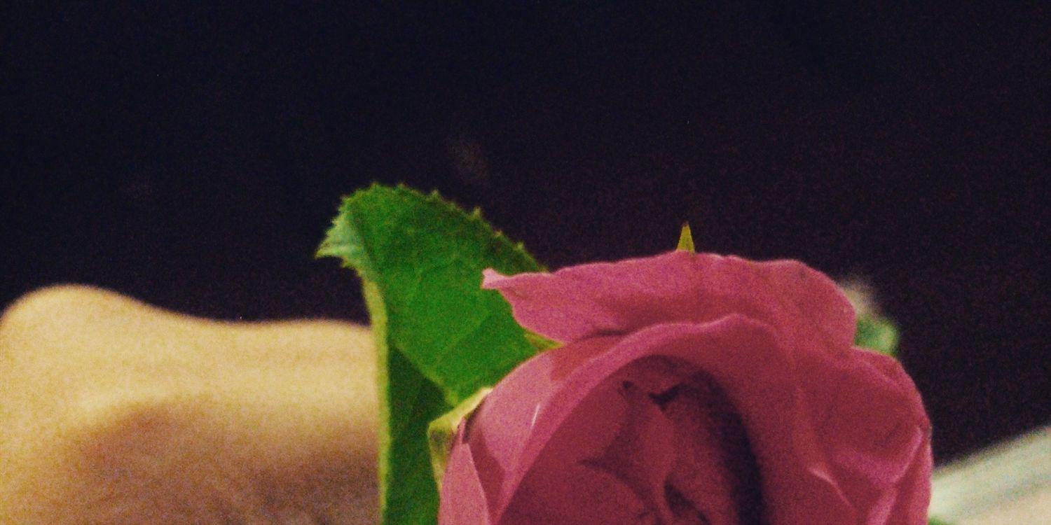 Jit_nf's profile banner image