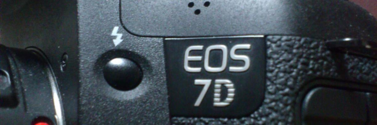 てれびおっさん🦦 banner