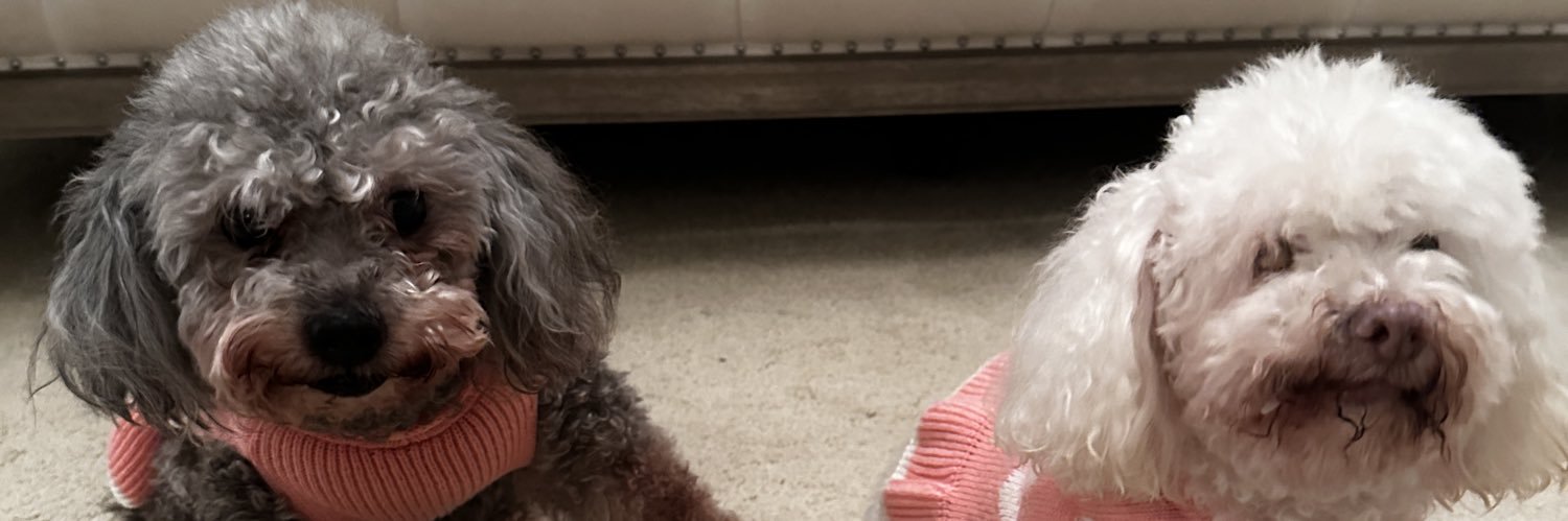 Madelinxoxo's profile banner image