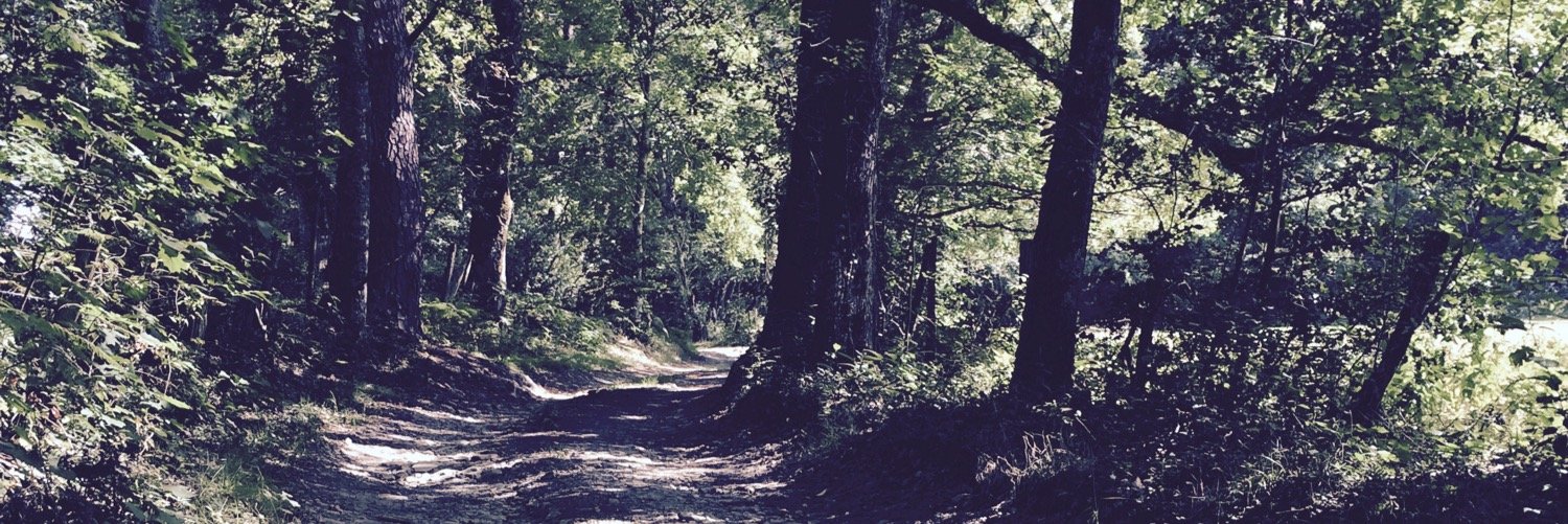 LouisRPGHPH's profile banner image