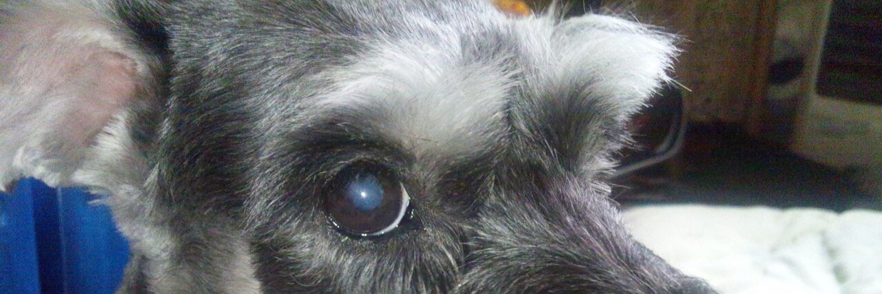 bluemoonblue7's profile banner image