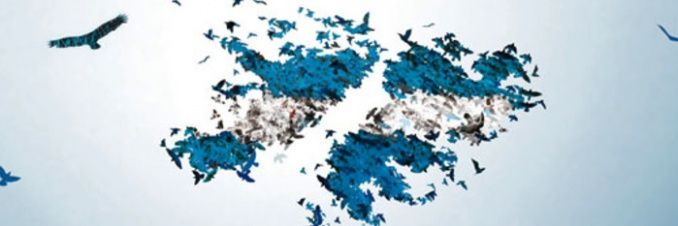 MatitoAr's profile banner image