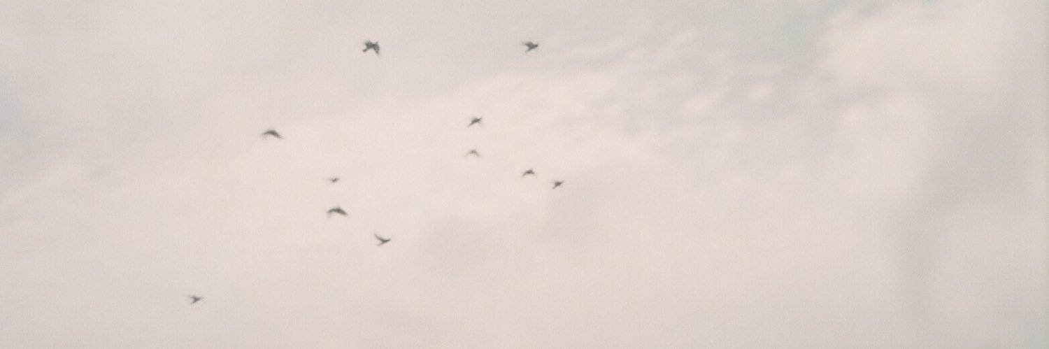 johndrewfdg's profile banner image