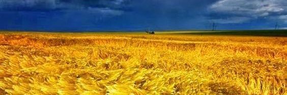 абсолютне зло banner