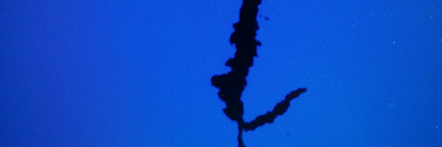 Leonard Cohen Fan banner